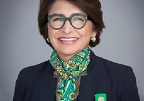 Sylvia Acevedo, CEO of The Girl Scouts of the USA
